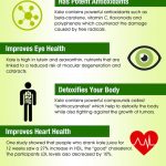 kale benefits infographic