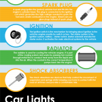 Car parts infographic