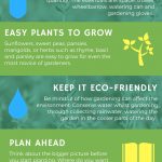 Beginners gardening infographic