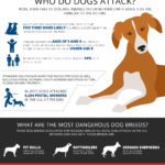 how often do dogs bite